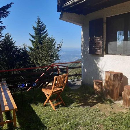 Holiday House Nesovic Kopaonik Extérieur photo