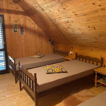 Holiday House Nesovic Kopaonik Extérieur photo