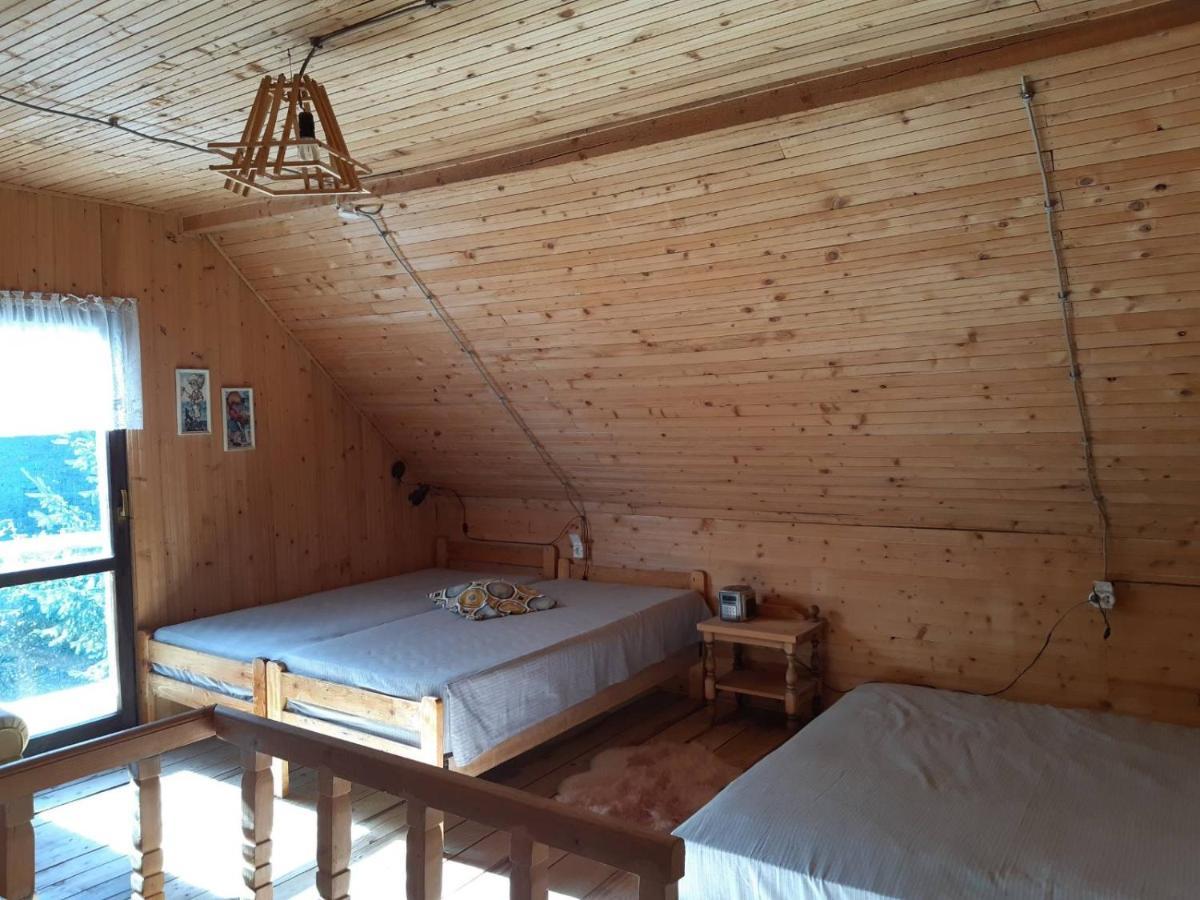 Holiday House Nesovic Kopaonik Extérieur photo
