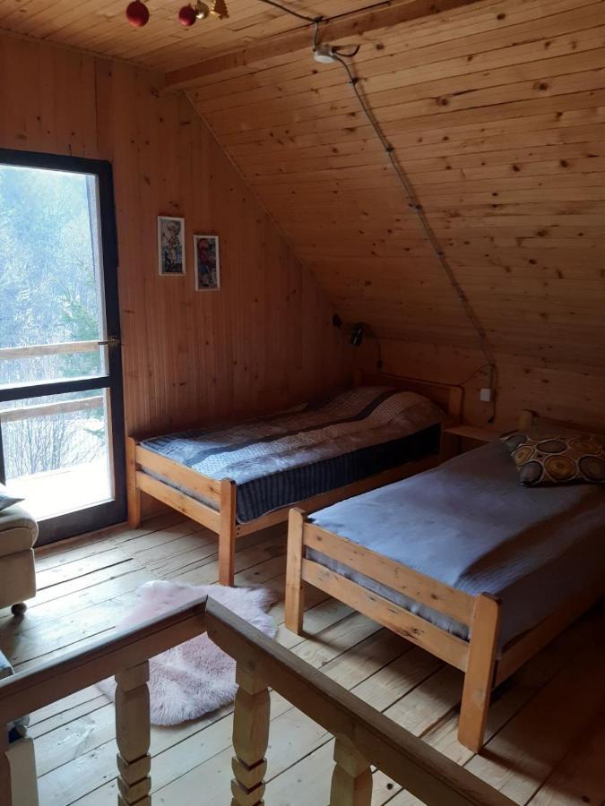 Holiday House Nesovic Kopaonik Extérieur photo