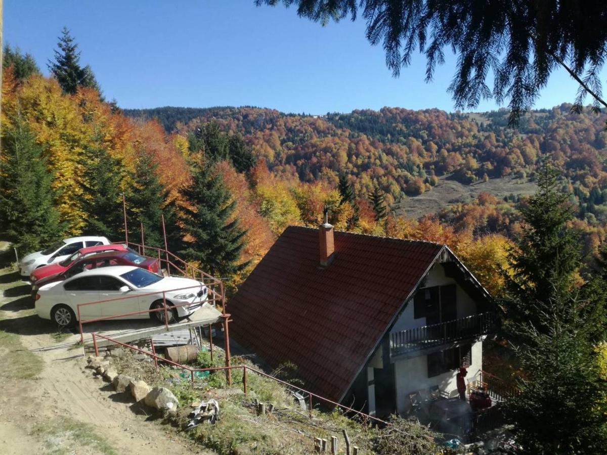 Holiday House Nesovic Kopaonik Extérieur photo
