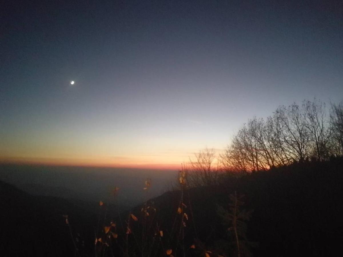Holiday House Nesovic Kopaonik Extérieur photo