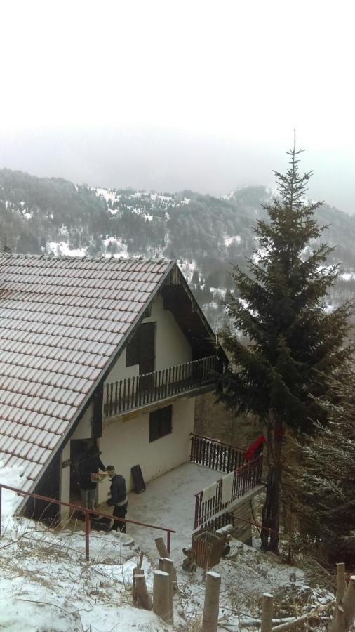Holiday House Nesovic Kopaonik Extérieur photo