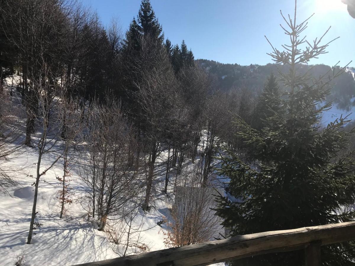 Holiday House Nesovic Kopaonik Extérieur photo