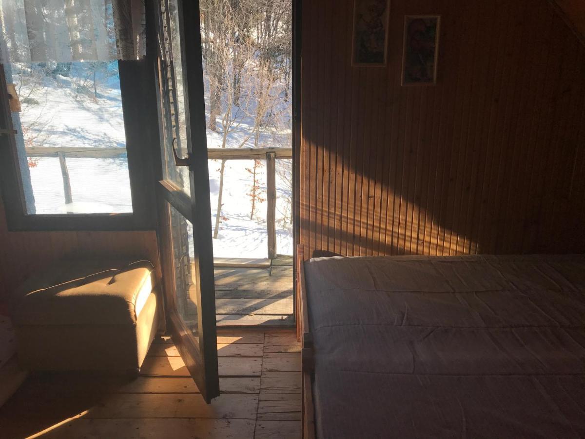 Holiday House Nesovic Kopaonik Extérieur photo